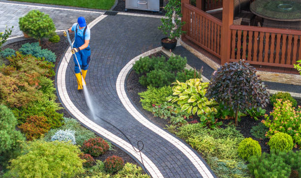 Best Pressure Washing Near Me  in Ocean Ridge, FL